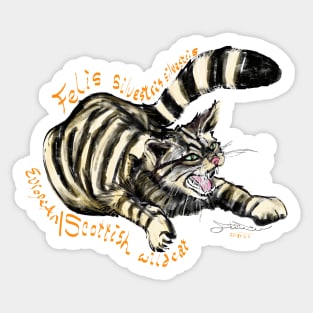 Wildcat, Felis silvestris silvestris Sticker